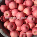 Manzana china fresca Fuji de origen Shannxi